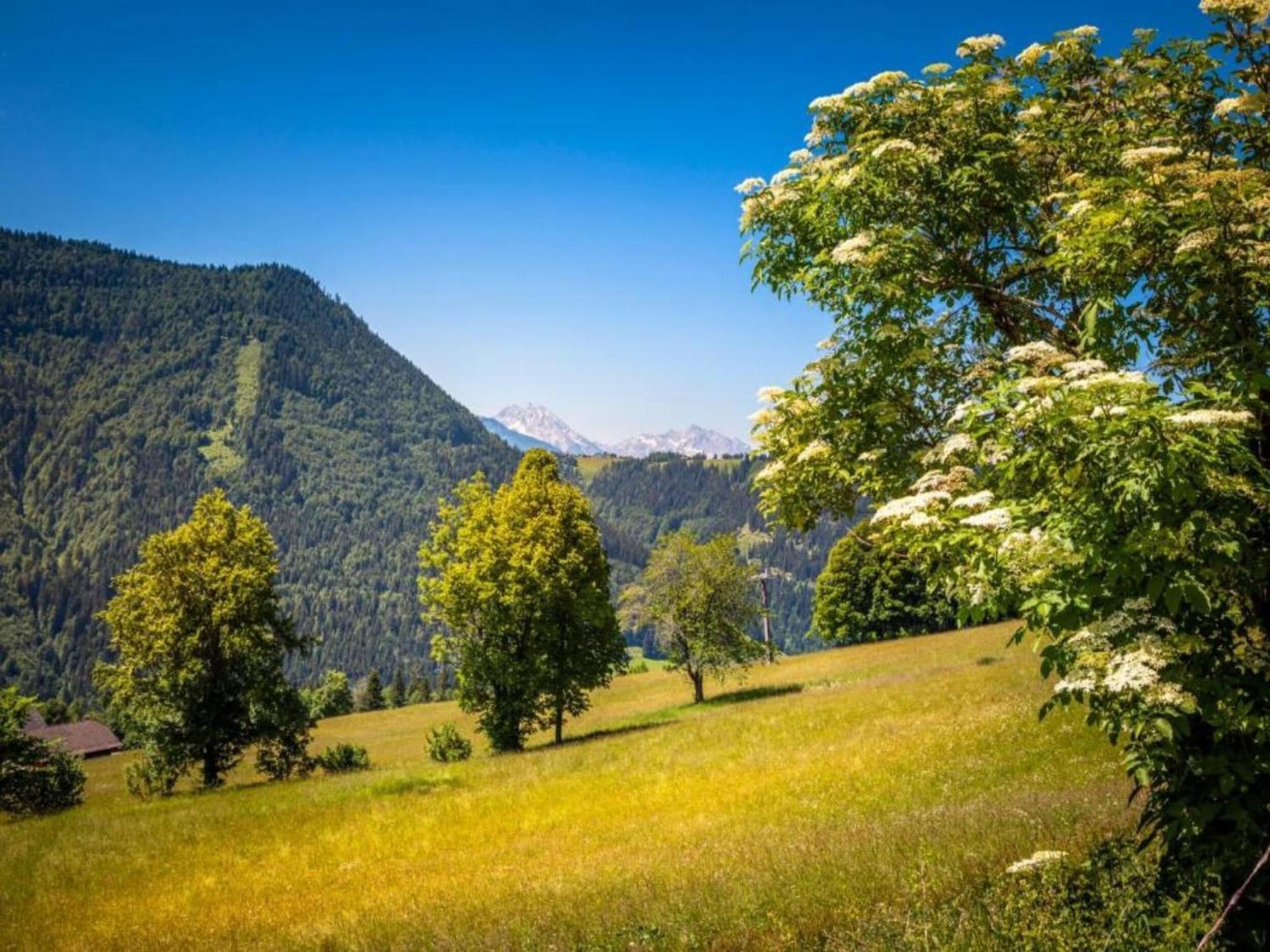 Spacious In With Sauna Apartment Flachau
