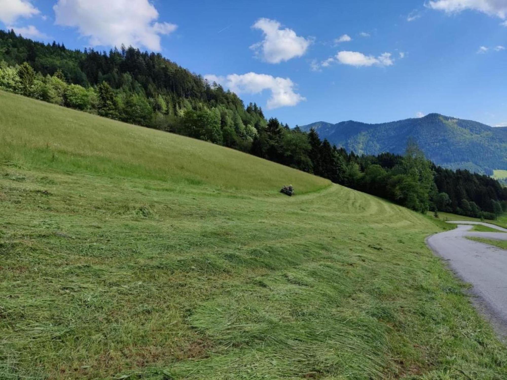 Apartment Spacious In With Sauna Flachau